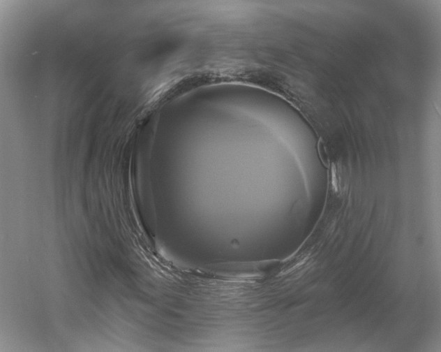 X0000061751155200512021504