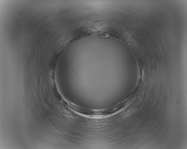 X0000061751156200512021504
