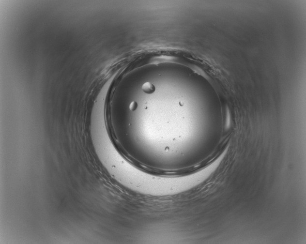 X0000061751157200512021504