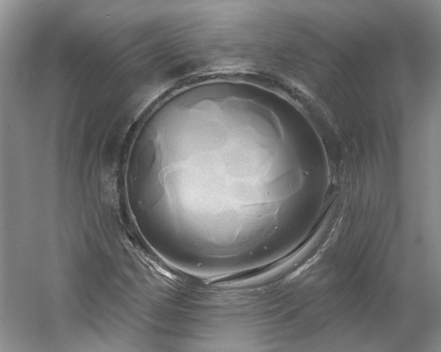 X0000061751162200512021504