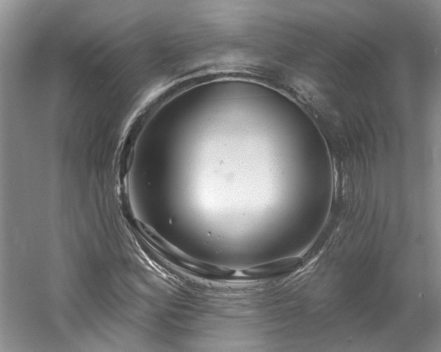 X0000061751164200512021504