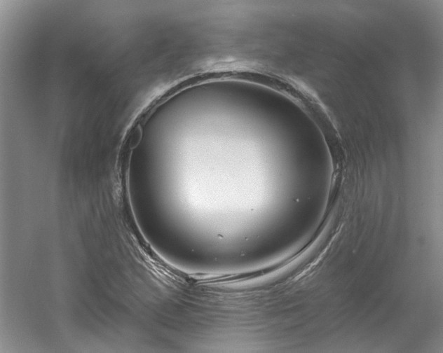 X0000061751167200512021503