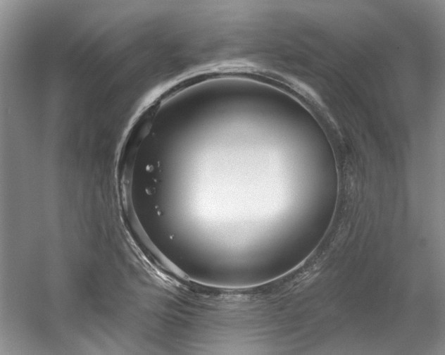 X0000061751176200512021503