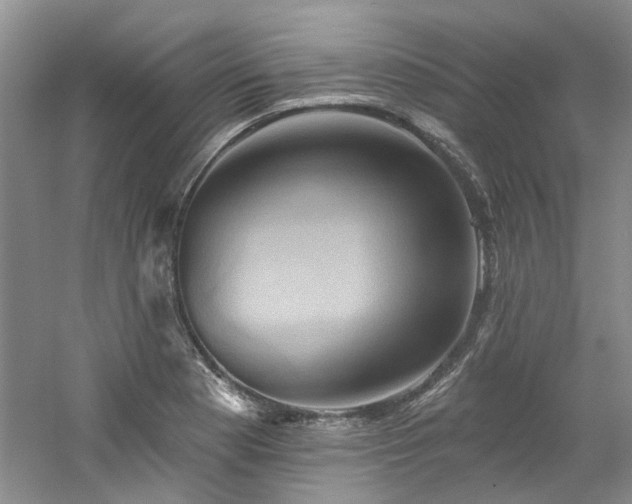 X0000061751177200512021503