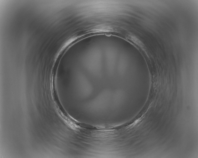 X0000061751179200512021503