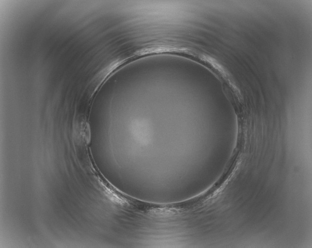 X0000061751185200512021503