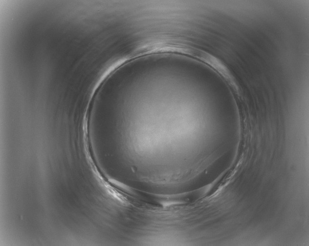 X0000061751198200512021503