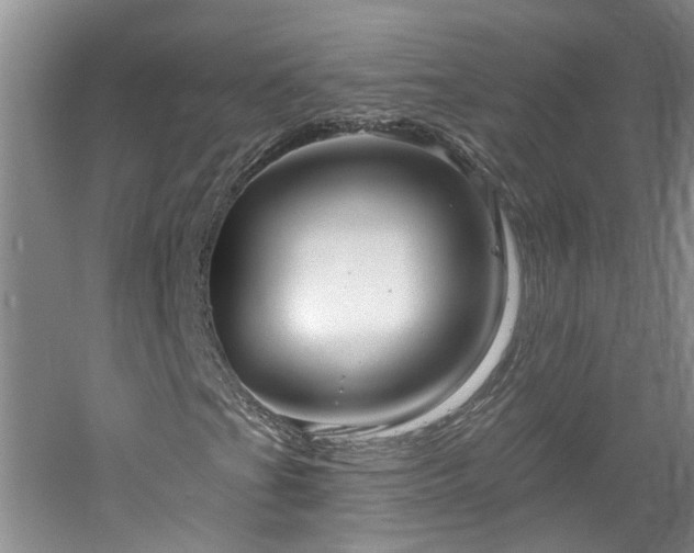 X0000061751201200512021502