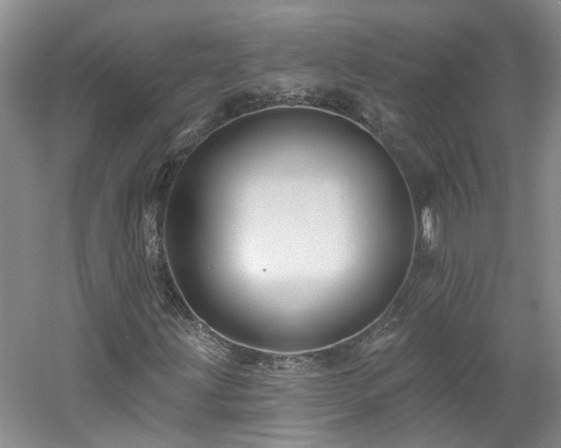 X0000061751203200512021502