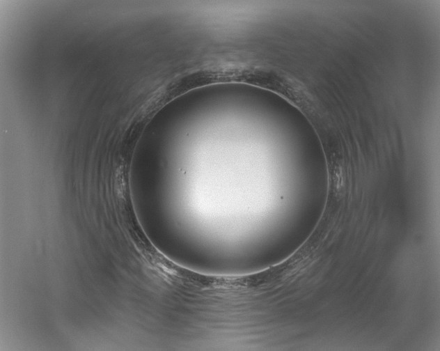 X0000061751204200512021502