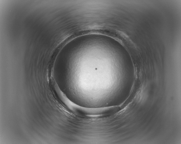 X0000061751209200512021502