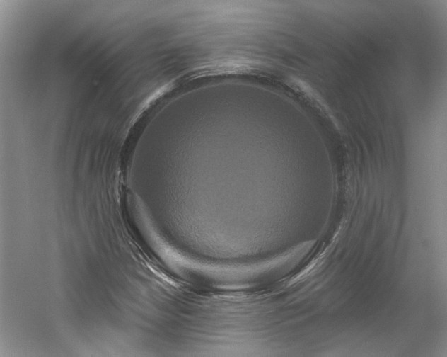 X0000061751210200512021502