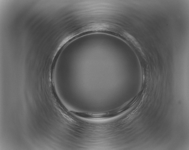 X0000061751226200512021502