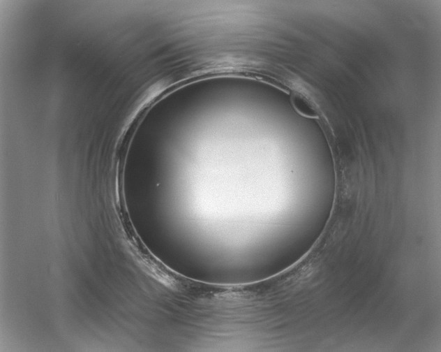 X0000061751227200512021503