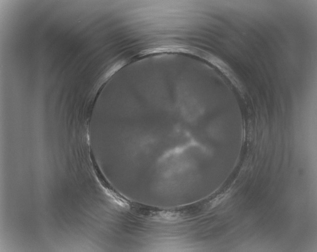X0000061751241200512021503