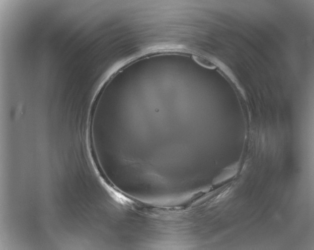 X0000061751245200512021503