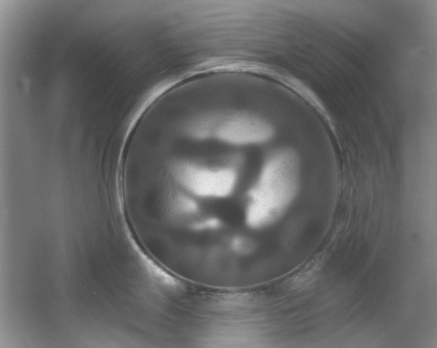 X0000061751247200512021503