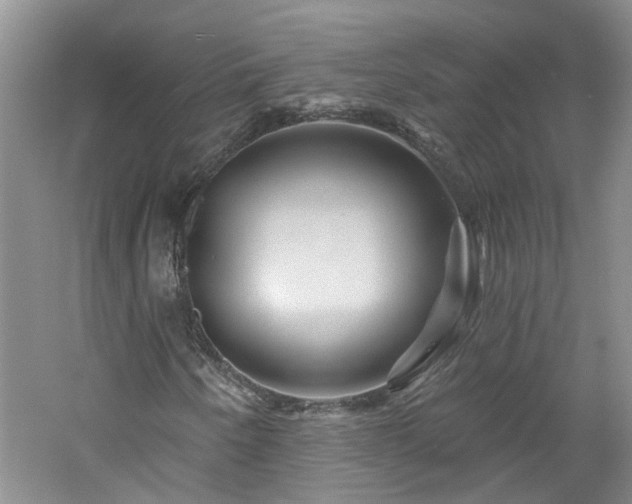 X0000061751250200512021502