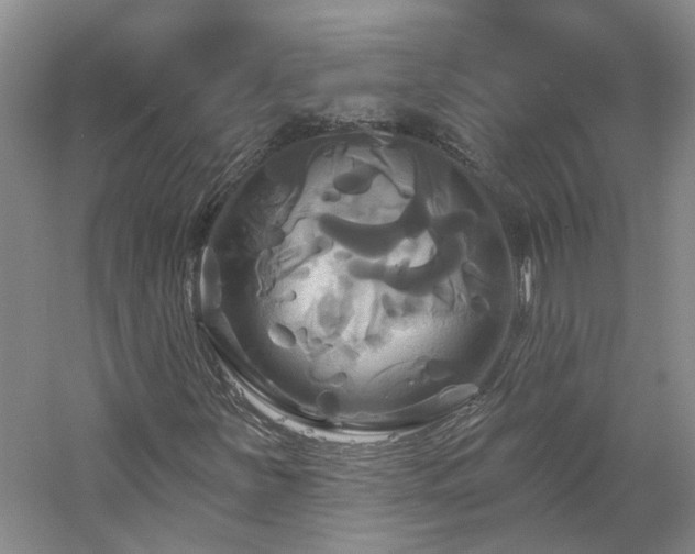 X0000061751251200512021502