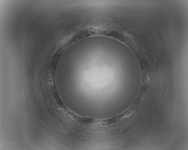 X0000061751253200512021502