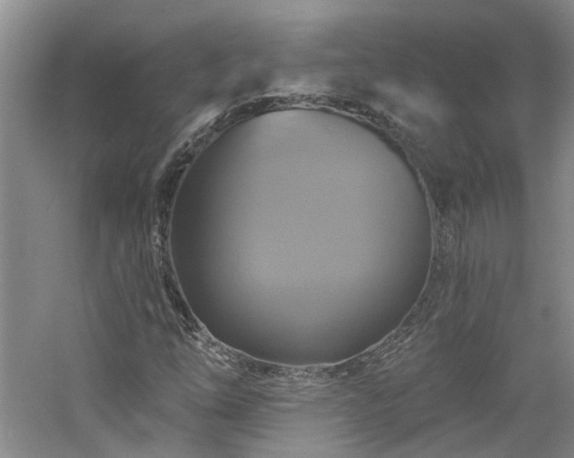 X0000061751254200512021502