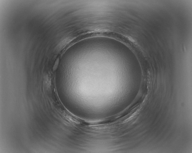 X0000061751257200512021502