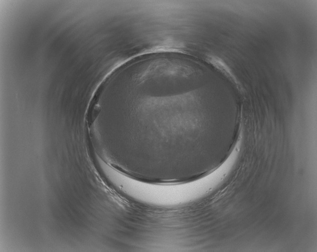 X0000061751268200512021502