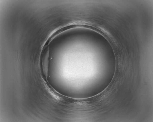 X0000061751272200512021502