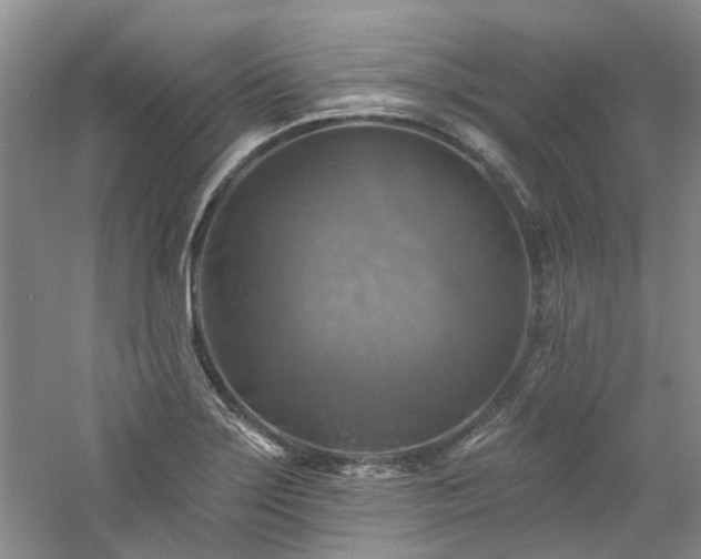 X0000061751275200512021502