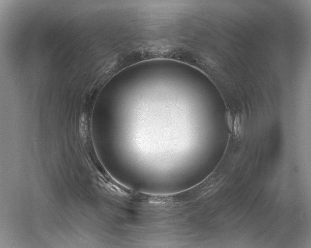 X0000061751299200512021500