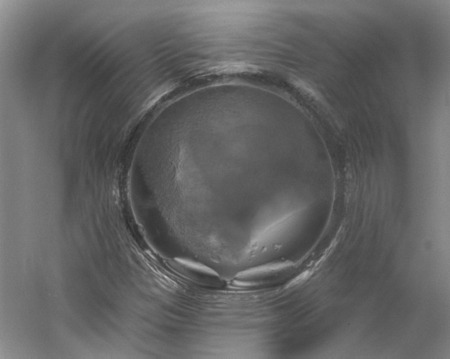 X0000061751305200512021501
