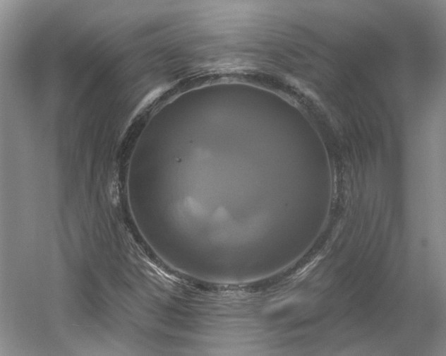X0000061751306200512021501
