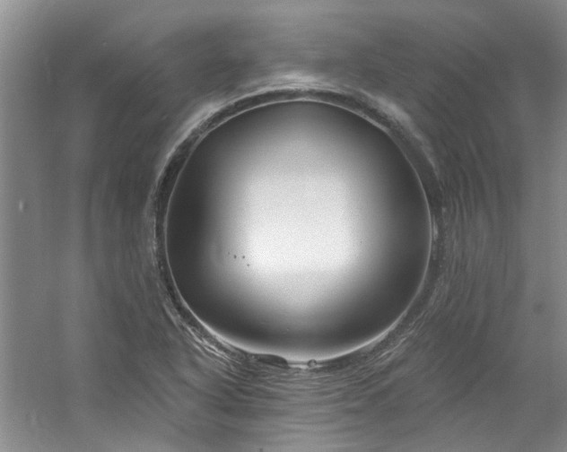 X0000061751318200512021501
