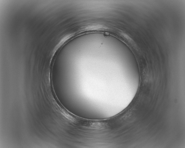 X0000061751322200512021501