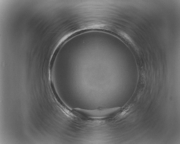 X0000061751324200512021501