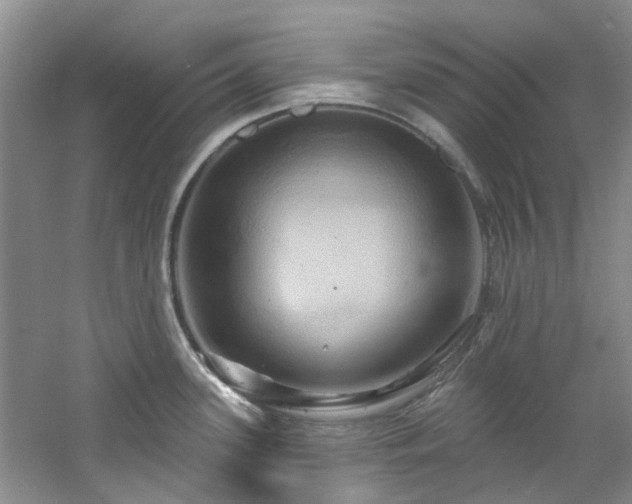 X0000061751339200512021501