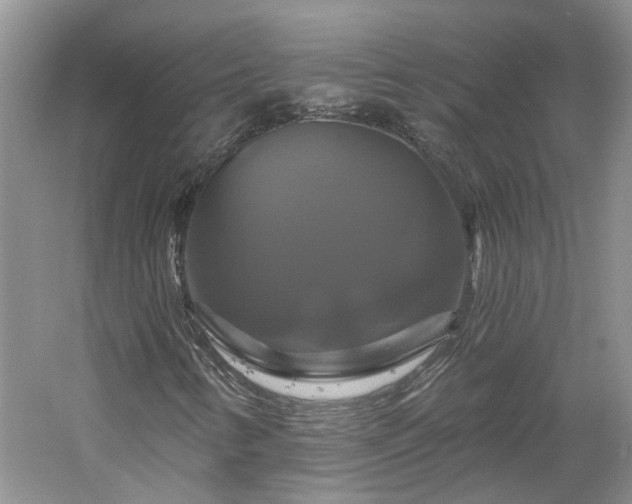 X0000061751346200512021500
