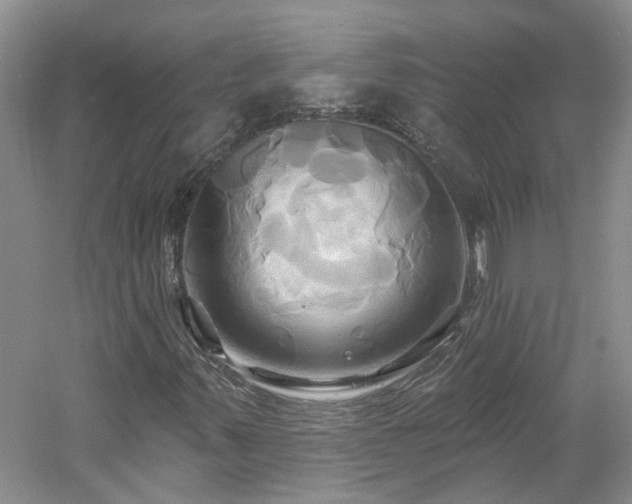 X0000061751347200512021500