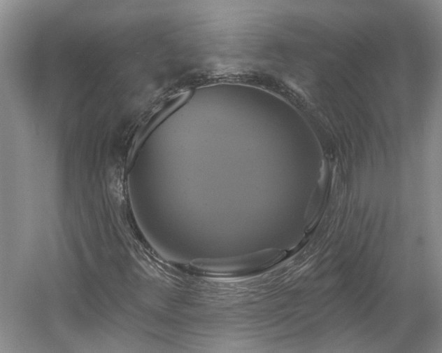 X0000061751348200512021500