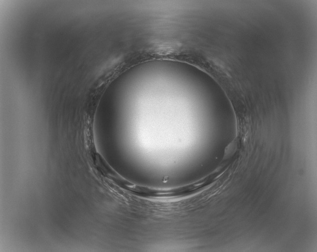 X0000061751349200512021500