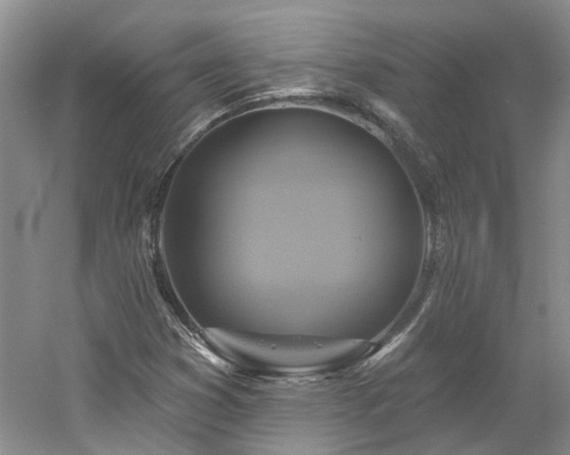X0000061751353200512021500