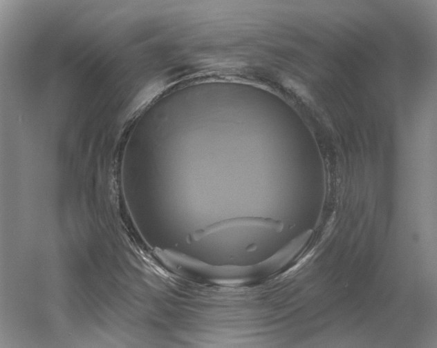 X0000061751354200512021500