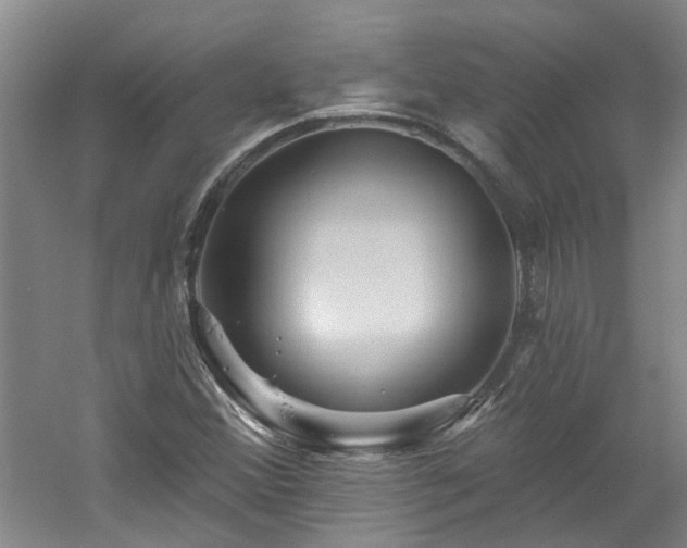 X0000061751356200512021500