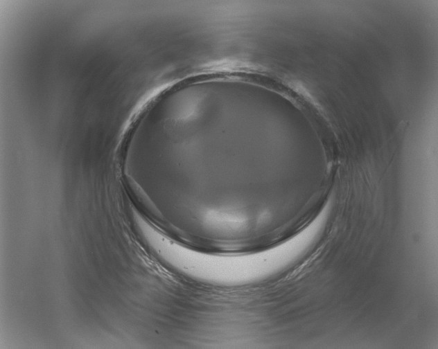 X0000061751358200512021500