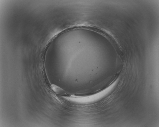X0000061751359200512021500