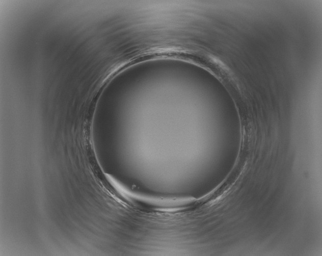 X0000061751361200512021500