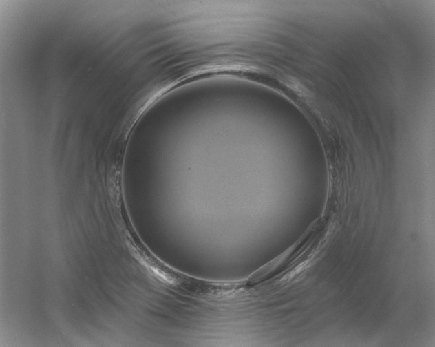 X0000061751369200512021500