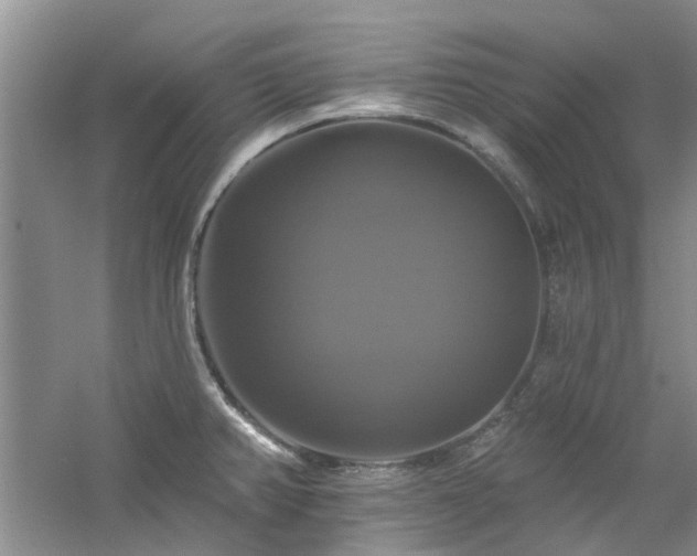 X0000061751382200512021500
