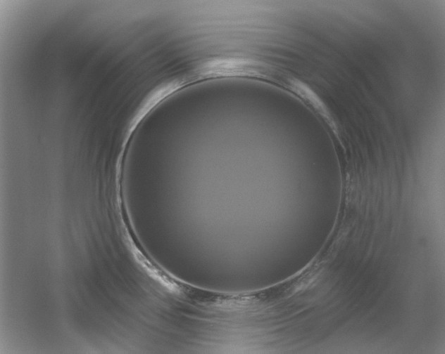 X0000061751386200512021500