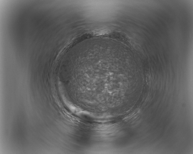 X0000061751393200512021459